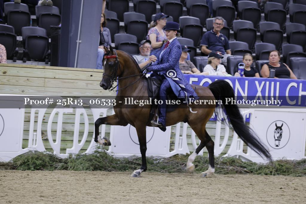 Proof 25R13_06533