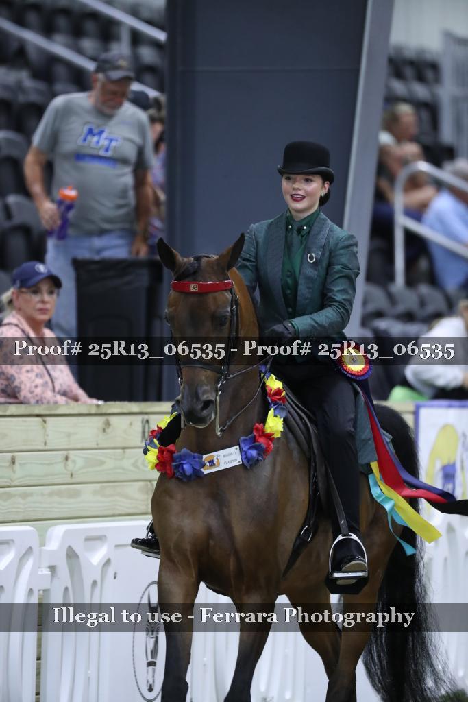 Proof 25R13_06535