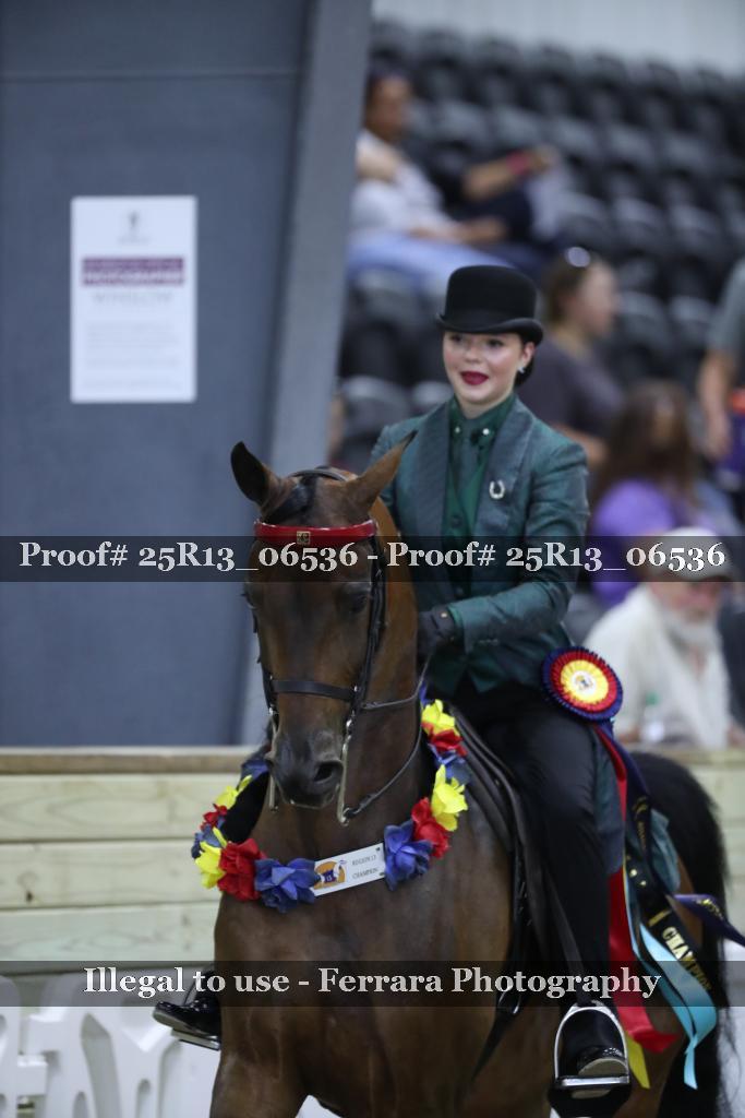 Proof 25R13_06536