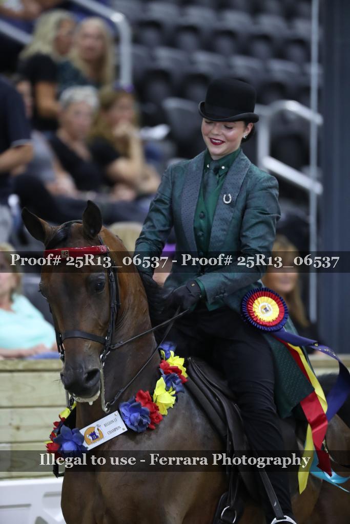 Proof 25R13_06537