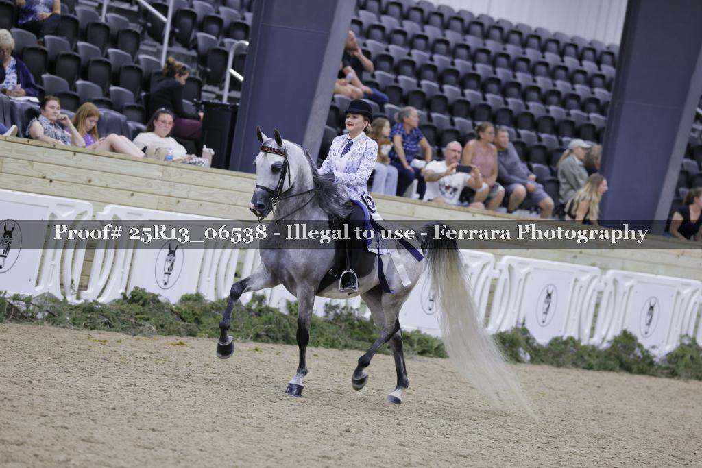 Proof 25R13_06538