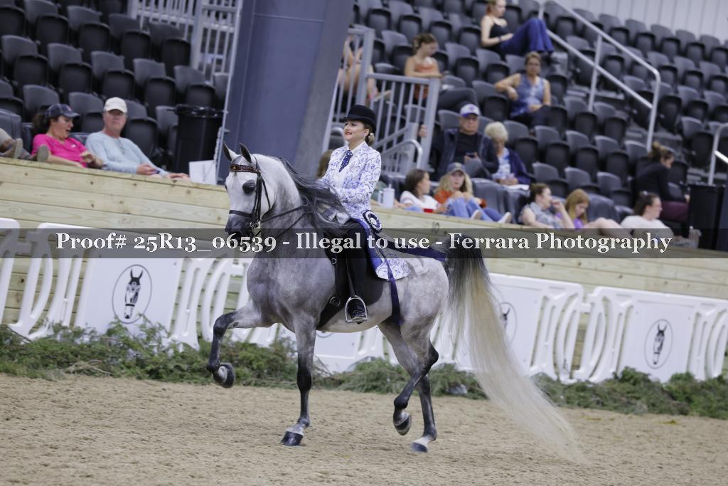 Proof 25R13_06539