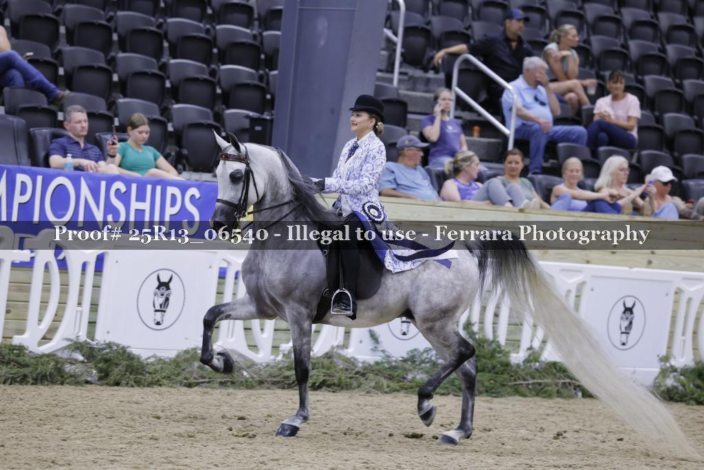 Proof 25R13_06540