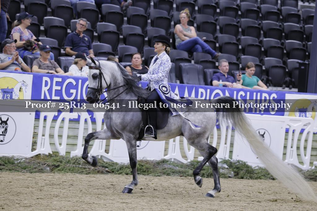 Proof 25R13_06541