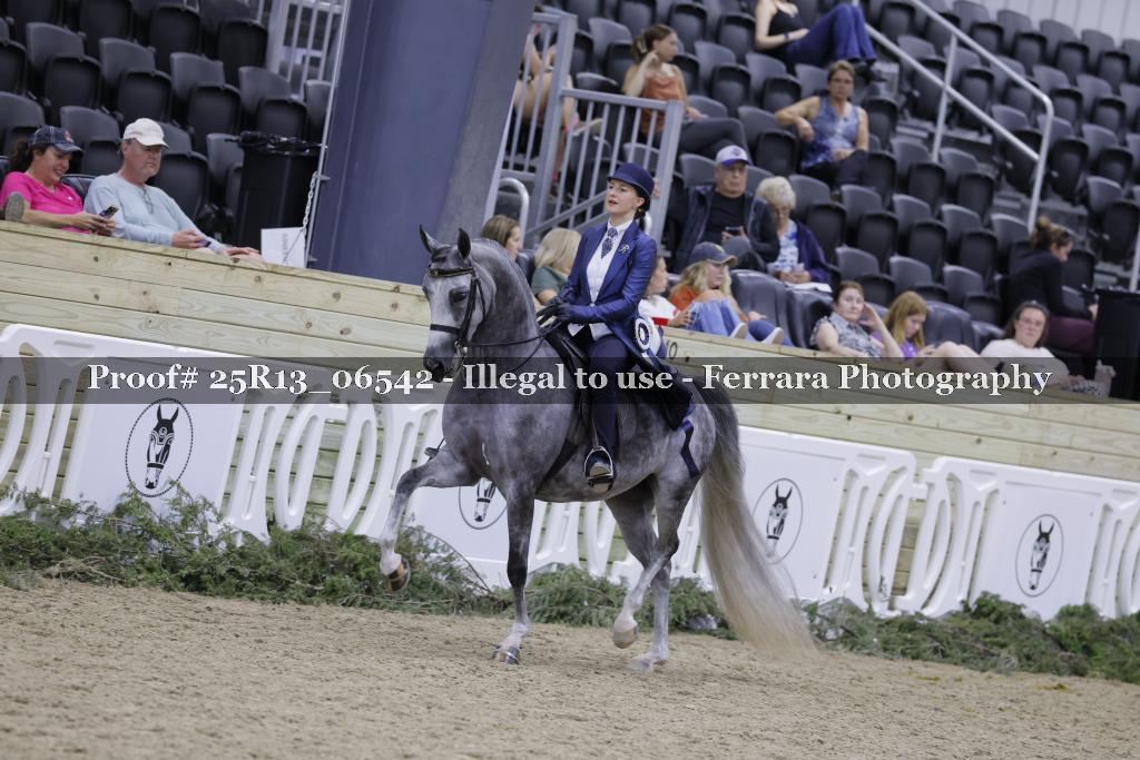 Proof 25R13_06542