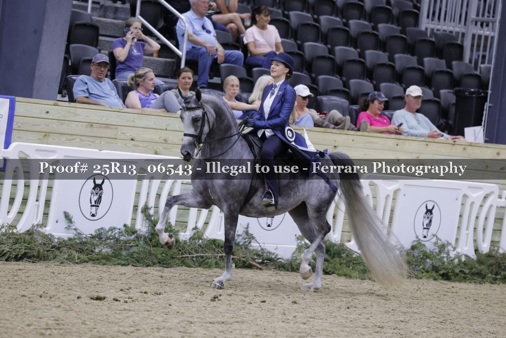 Proof 25R13_06543