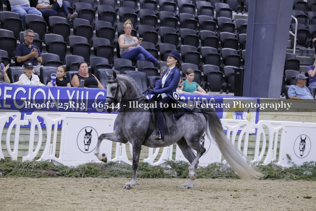 Proof 25R13_06544