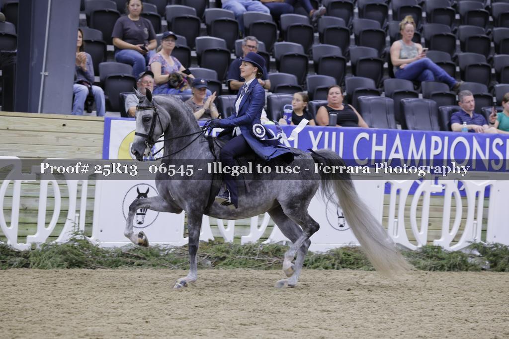 Proof 25R13_06545