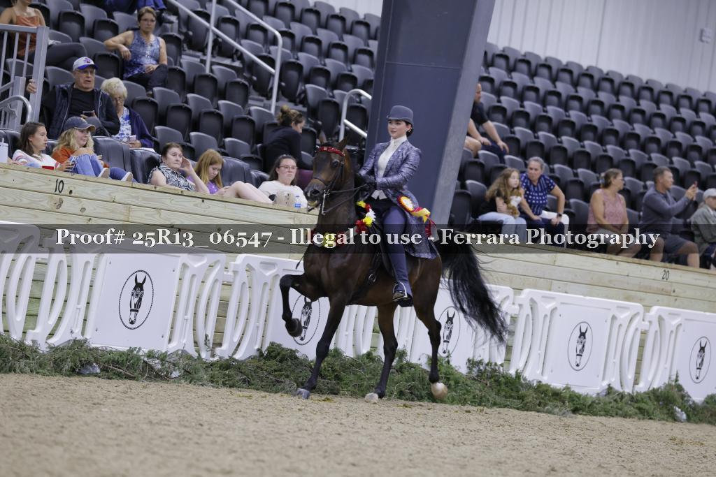 Proof 25R13_06547