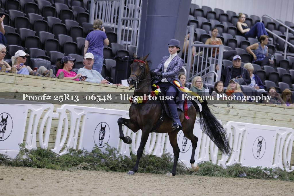 Proof 25R13_06548