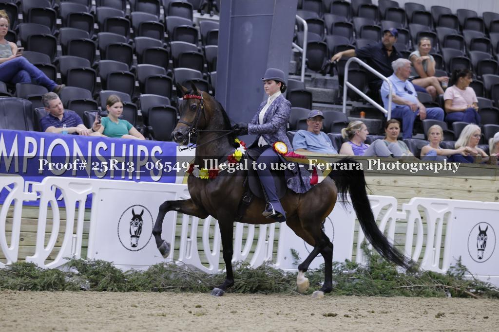Proof 25R13_06549