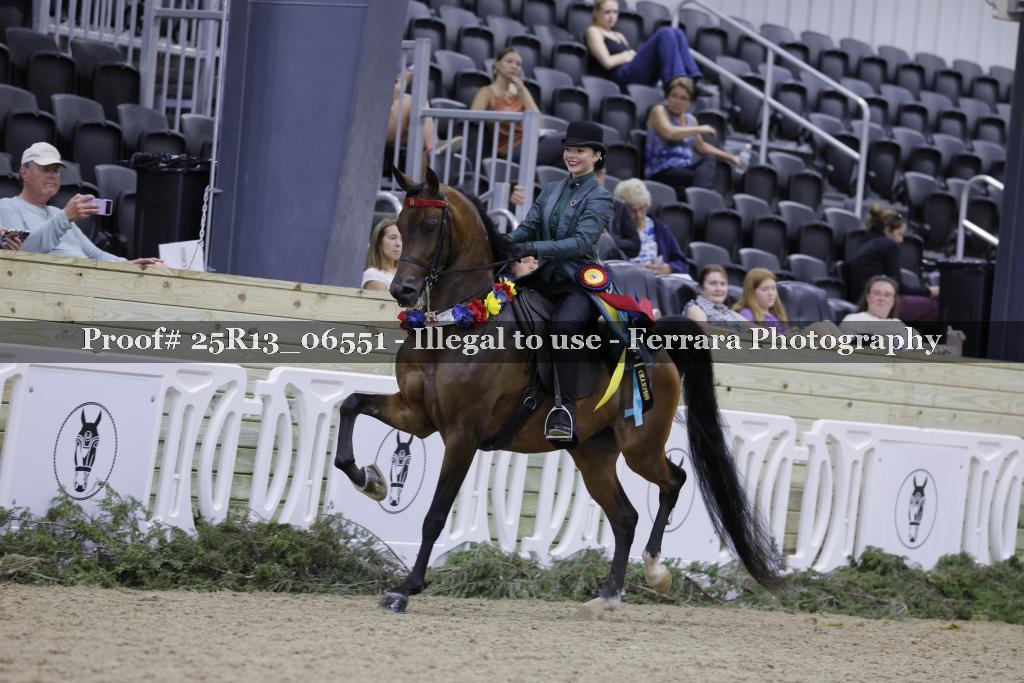 Proof 25R13_06551