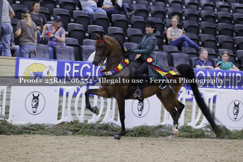 Proof 25R13_06554