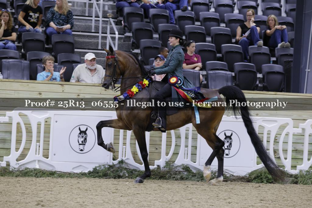 Proof 25R13_06555