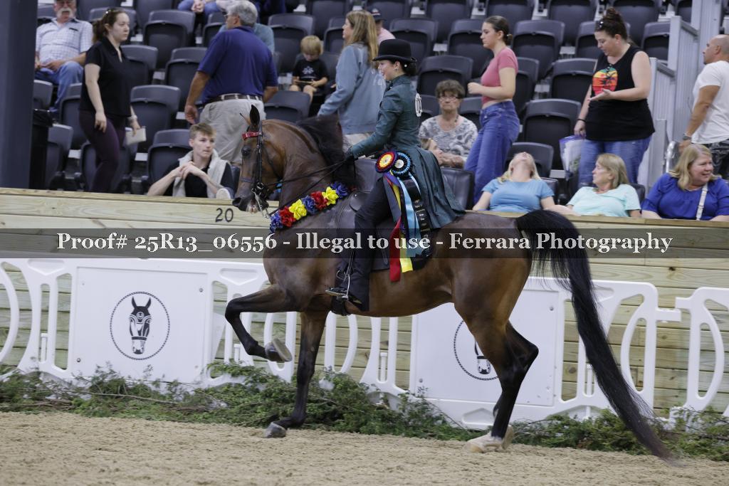 Proof 25R13_06556
