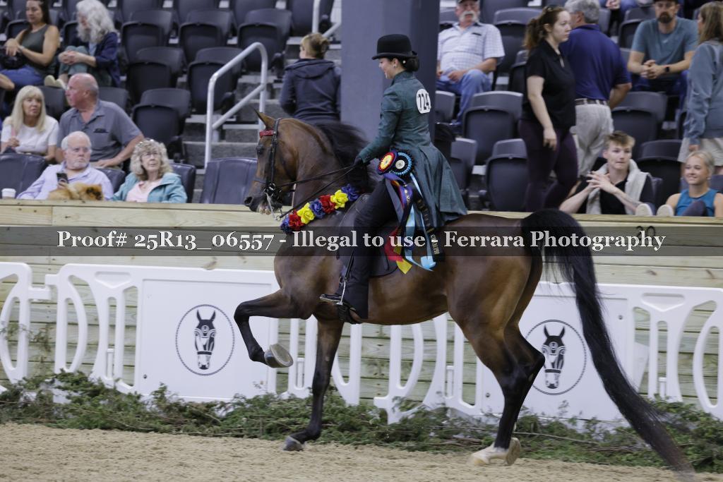 Proof 25R13_06557