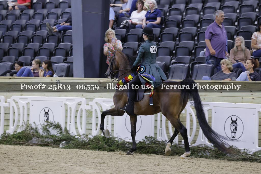Proof 25R13_06559