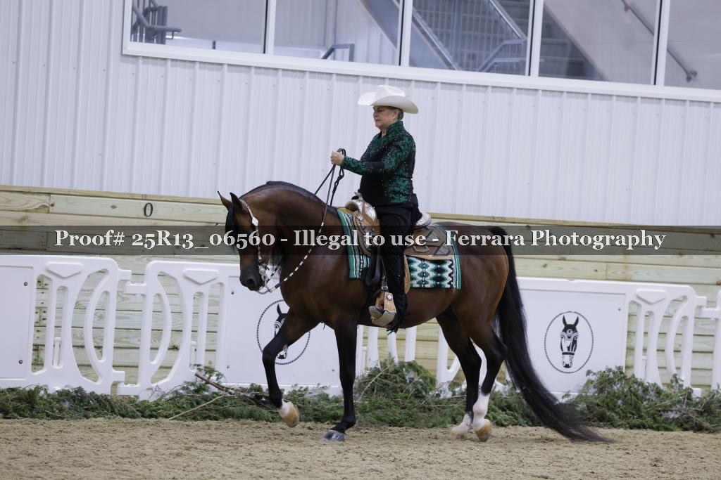 Proof 25R13_06560