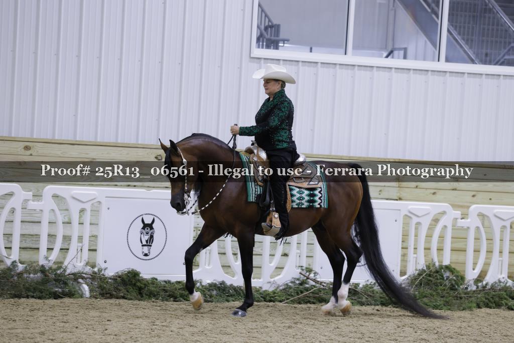 Proof 25R13_06561