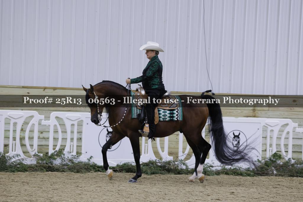 Proof 25R13_06563