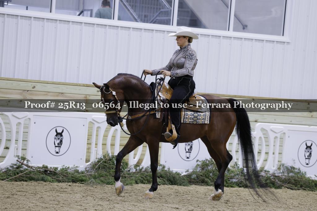 Proof 25R13_06564