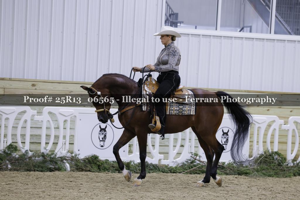 Proof 25R13_06565