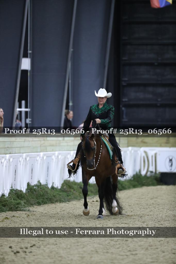 Proof 25R13_06566