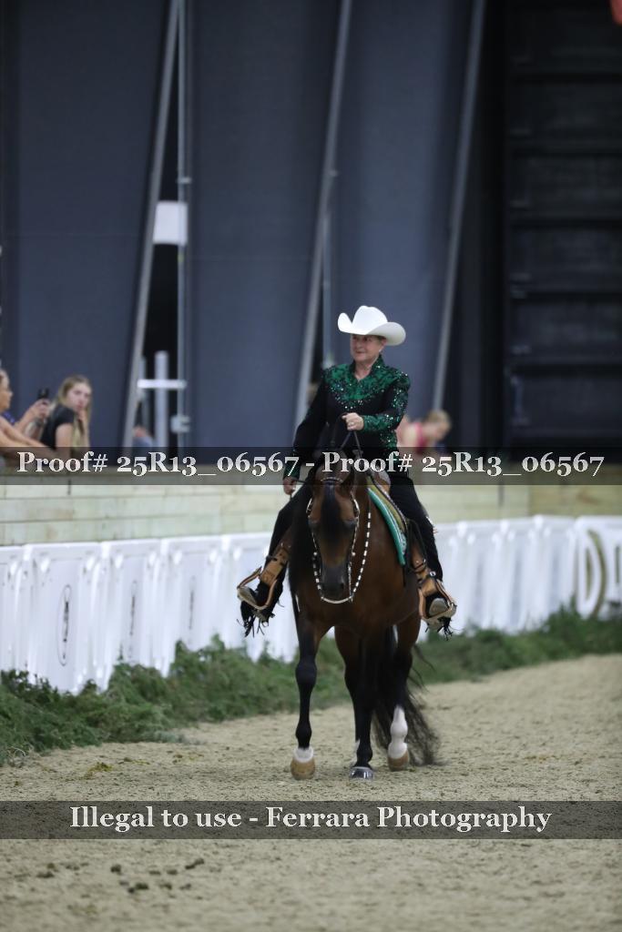 Proof 25R13_06567