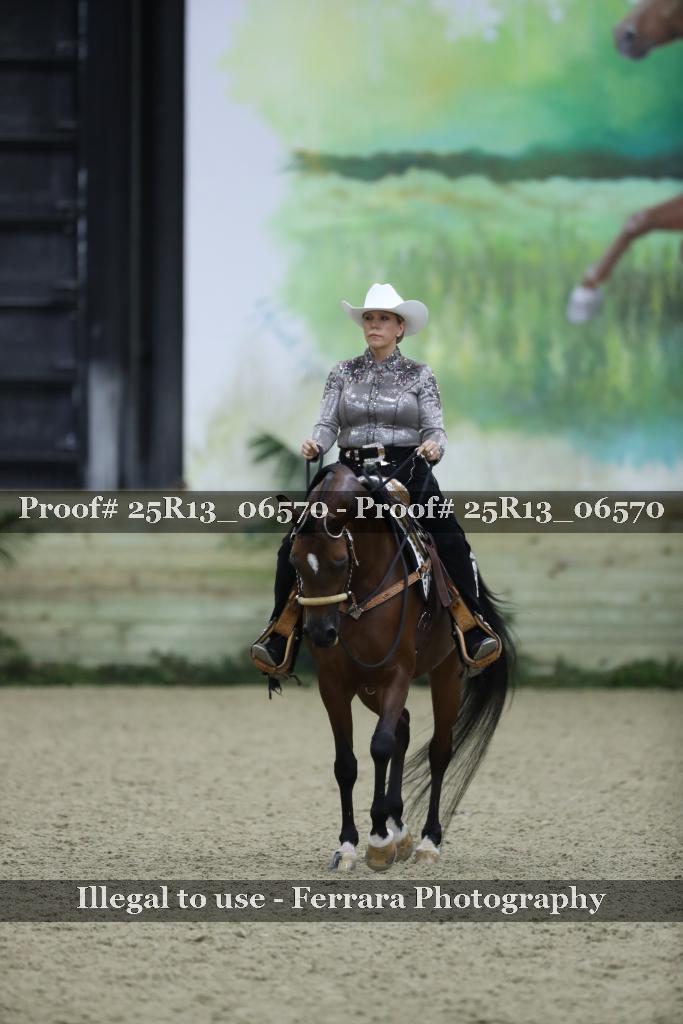 Proof 25R13_06570
