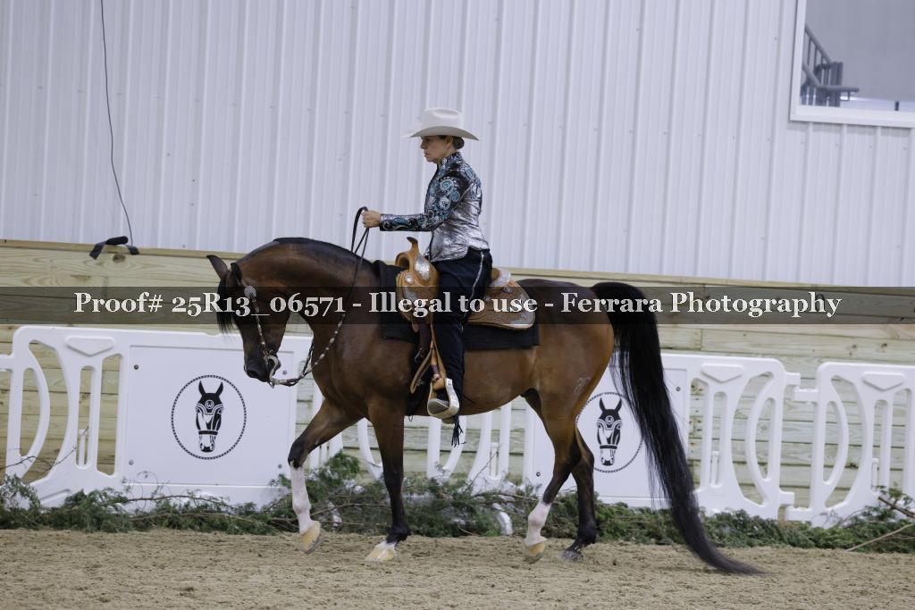 Proof 25R13_06571