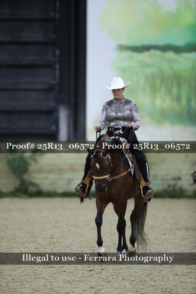 Proof 25R13_06572