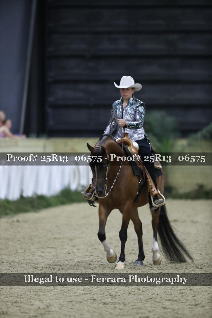 Proof 25R13_06575