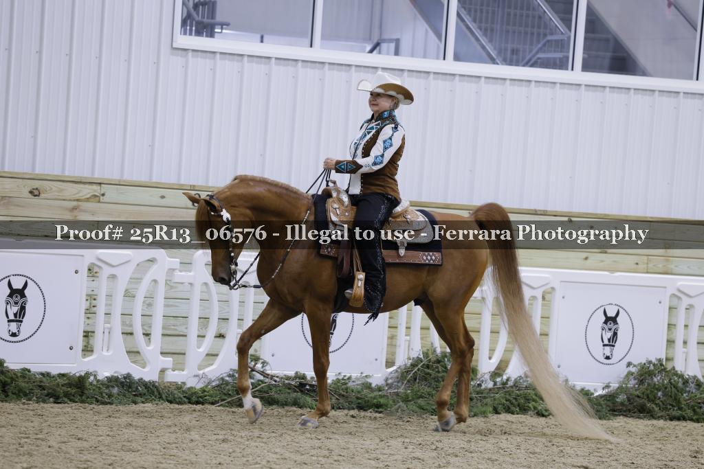 Proof 25R13_06576
