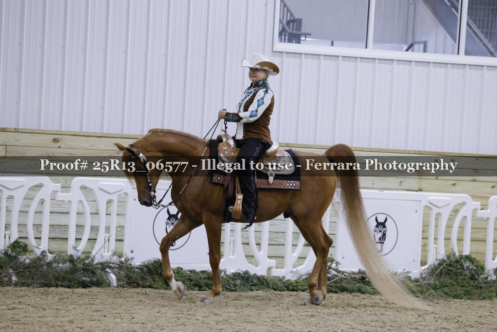 Proof 25R13_06577