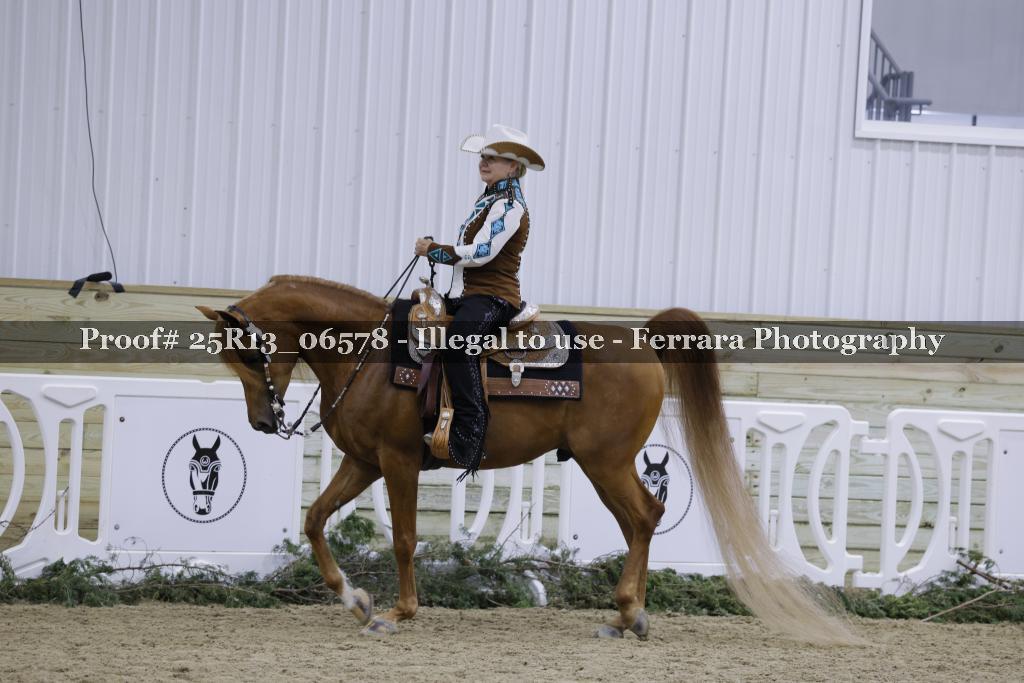 Proof 25R13_06578