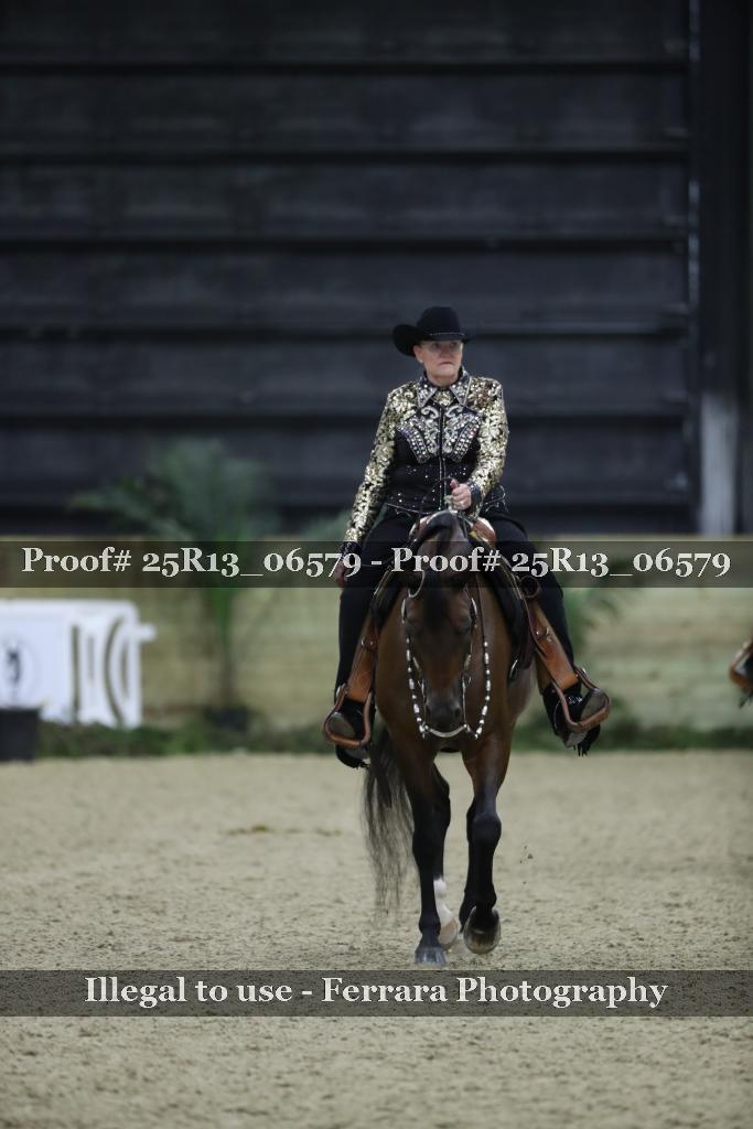 Proof 25R13_06579