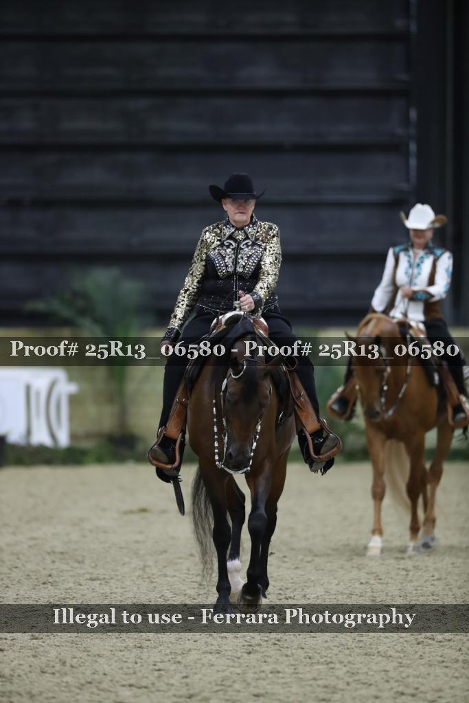Proof 25R13_06580