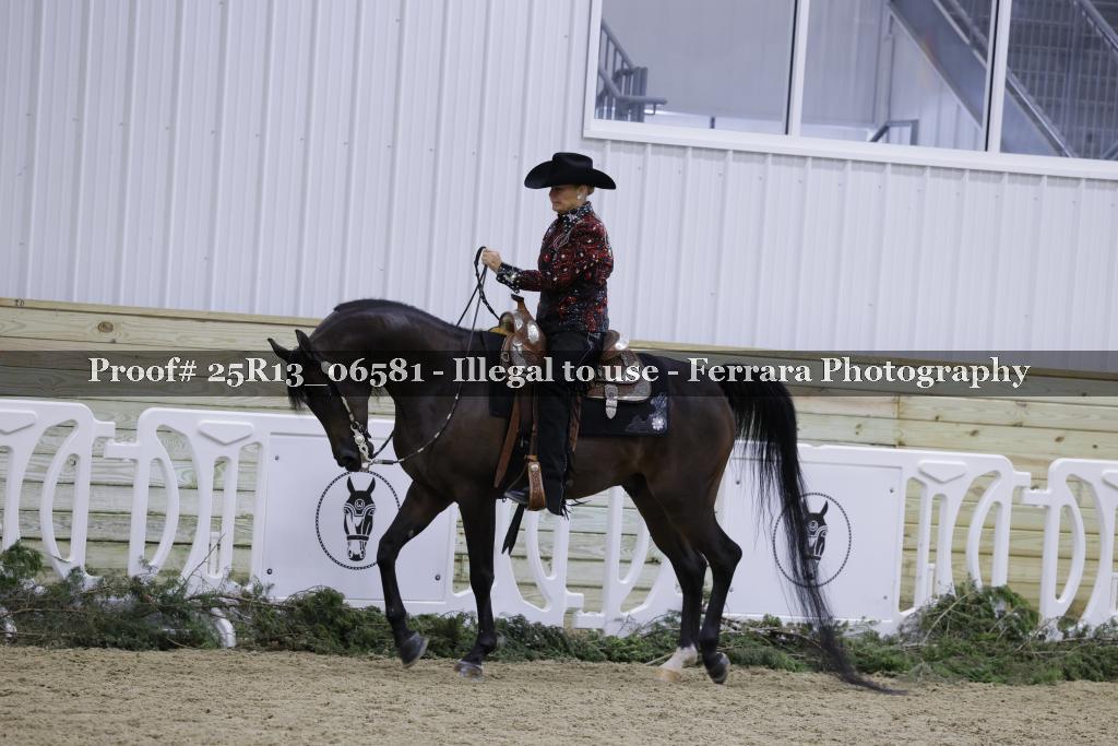 Proof 25R13_06581