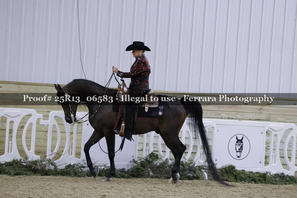 Proof 25R13_06583