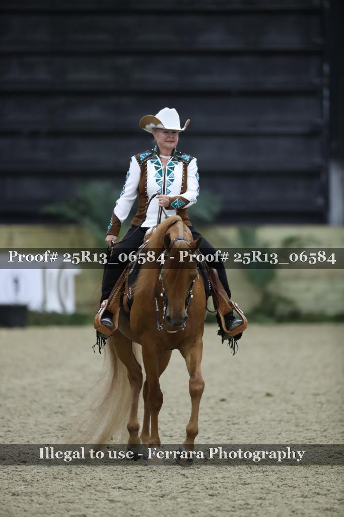Proof 25R13_06584