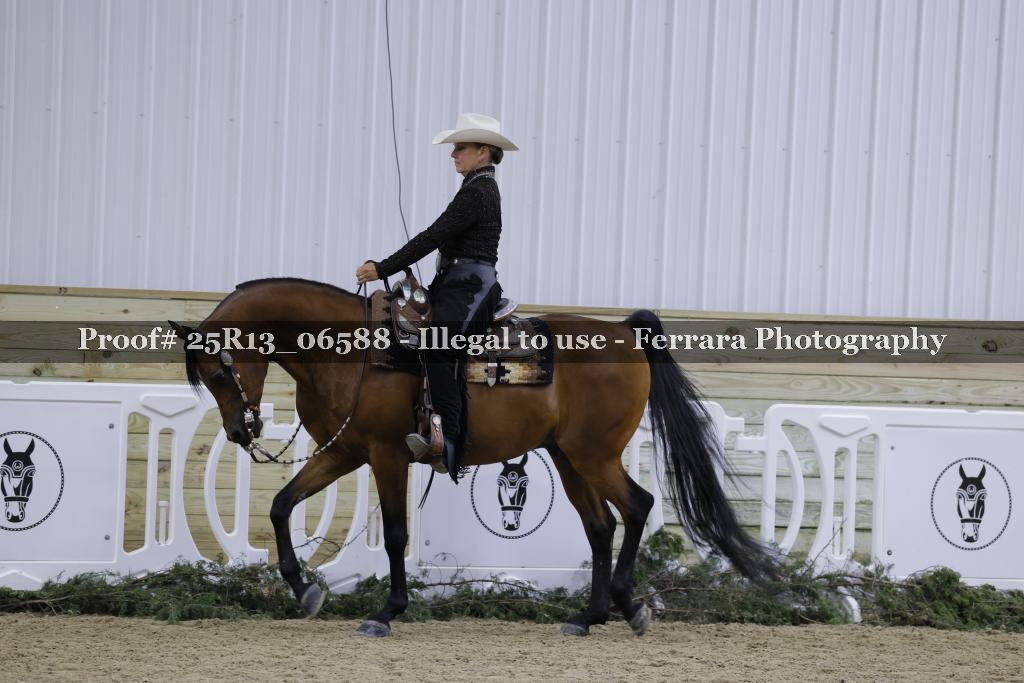 Proof 25R13_06588