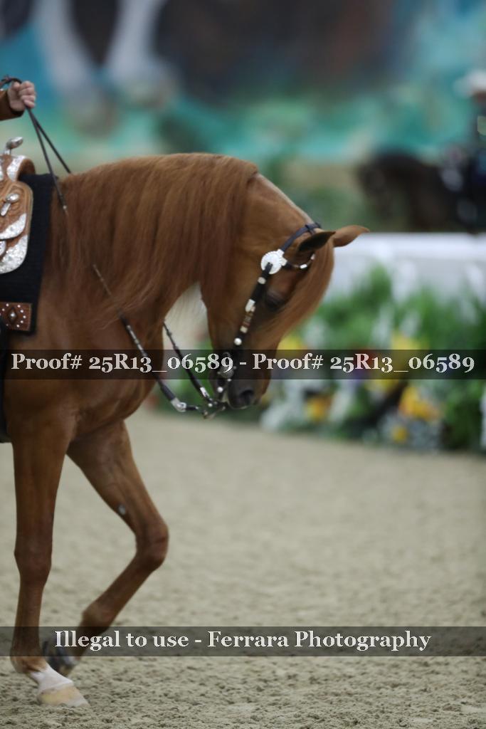 Proof 25R13_06589