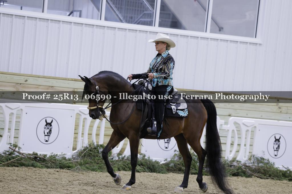 Proof 25R13_06590