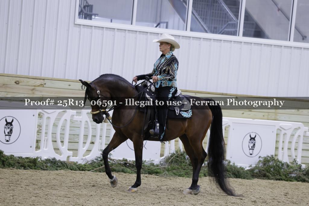 Proof 25R13_06591
