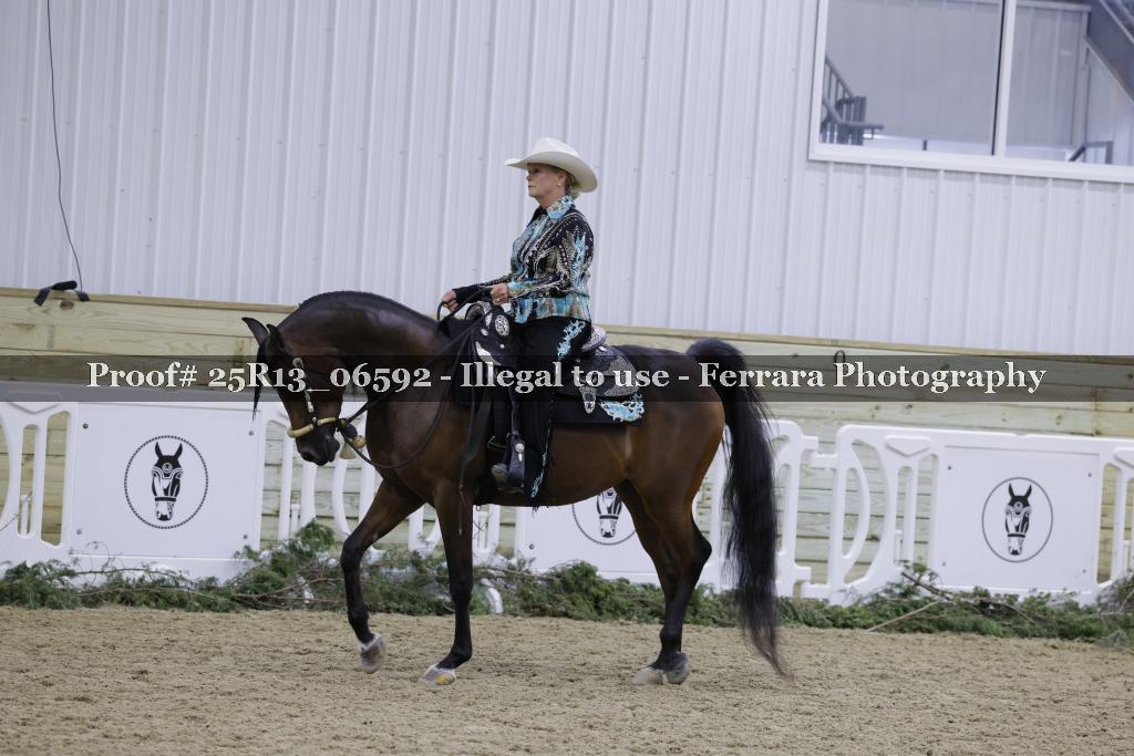 Proof 25R13_06592