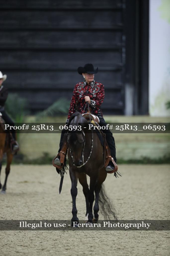 Proof 25R13_06593