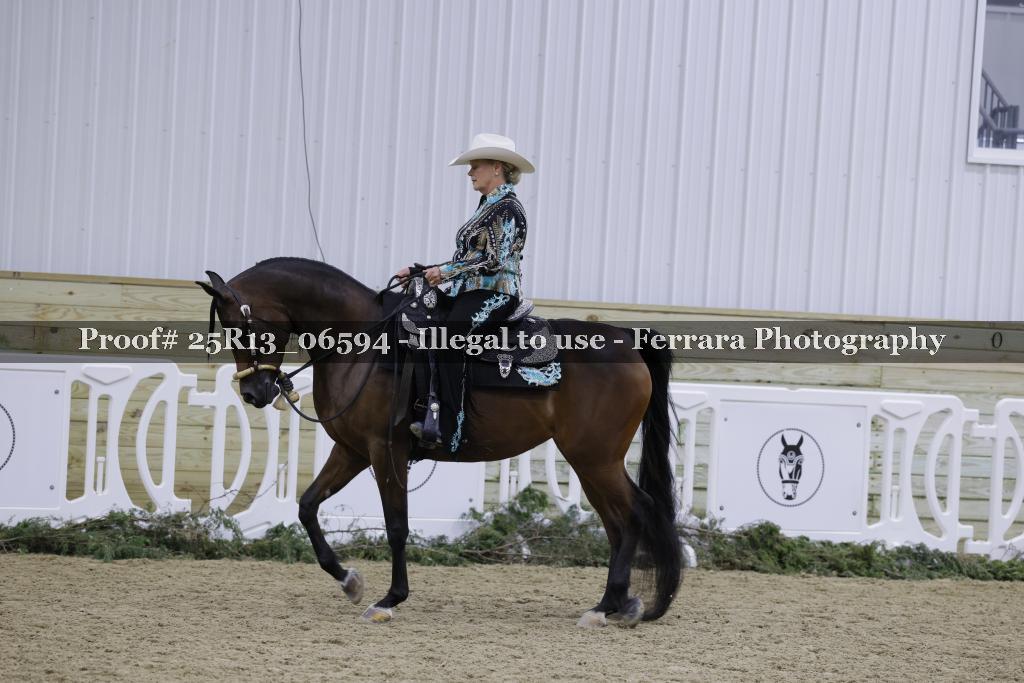Proof 25R13_06594