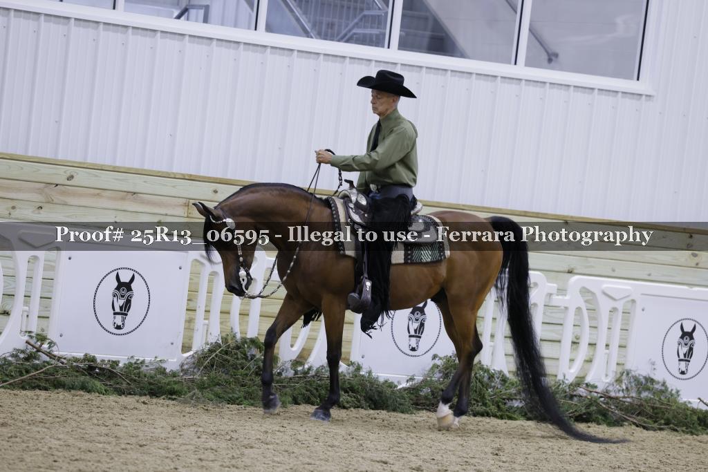 Proof 25R13_06595