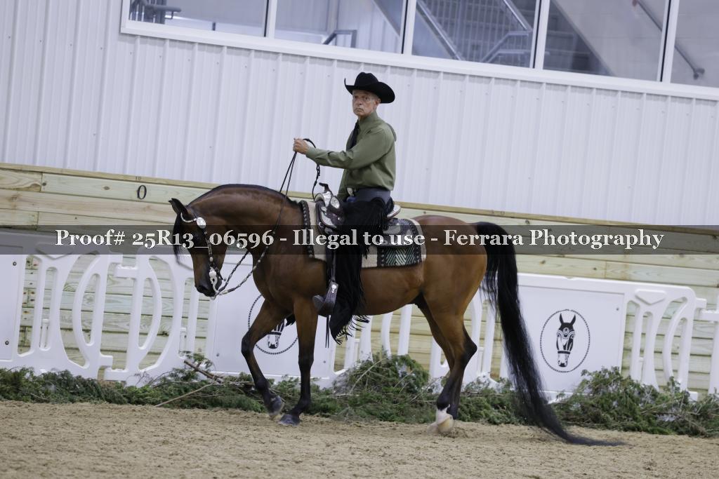 Proof 25R13_06596