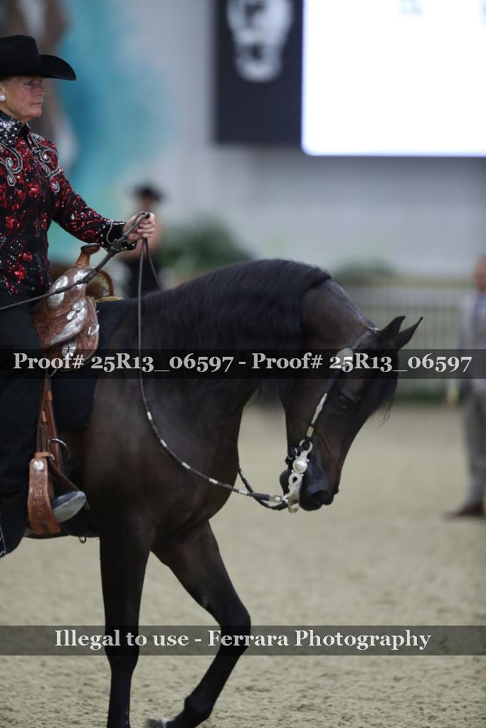Proof 25R13_06597